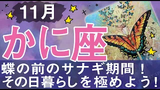 かに座さん♋️11月の運勢✨キラキラ羽ばたく蝶になる直前のサナギ期間！今を楽しめば自然と欲しい未来に繋がっていく😄