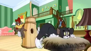 Tom y Jerry en Español | ¡Un poco de aire fresco! |  Kids