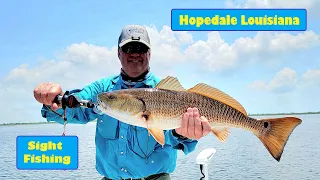 Montana Fly Fisherman Figures Out Hopedale Louisiana Sight Fishing  in Only Two Days