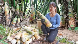 Harvesting Bamboo Shoot, Processing bamboo shoots, selling bamboo shoots || My Bushcraft