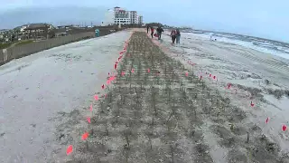 Beach Restoration