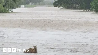 'Once in a century' flooding hits Australia - BBC News