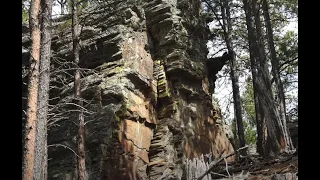 Giant Ancient Biblical Trees Discovered In US.