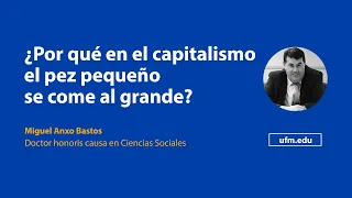 ¿Por qué en el capitalismo el pez pequeño se come al grande? | Miguel Anxo Bastos