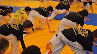 Capoeira Beija-Flor lisboa Portugal roda Juvenil