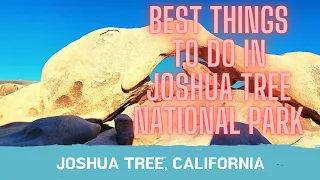 13 Things to Explore in Joshua Tree National Park Travel Guide ONE DAY ITINERARY