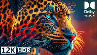 WILD ANIMALS 12K HDR DOLBY VISION™ (60 FPS)