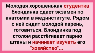 Студентка Блондинка Изучает Хозяйство Парня на Экзамене! Сборник Свежих Смешных Анекдотов! Юмор!