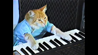 Keyboard Cat (AI Upscaled to 4K)