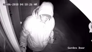 Video shows Oakland County prowler