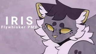 Iris - Flywhisker PMV