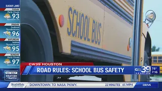 Road Rules - School bus safety - Hannah Trippett