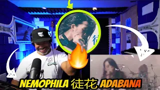 NEMOPHILA/徒花 - ADABANA - Producer Reaction