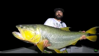 DORADO GIGANTE, Pescaría na Argentina,  Pousadas Puerto Paraíso, Corrientes, PESCA URBANA