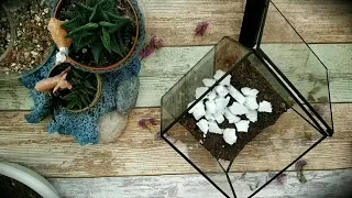 Terrarium in Tiffany technique | Террариум в технике Тиффани