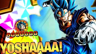 E' TORNATO a PIENA POTENZA! 100% LR VEGITO BLUE STR SHOWCASE LINK LVL 10! DBZ: DOKKAN BATTLE