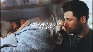 Shawn & Juliet || Willow.