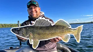 How to catch BIG Summer Walleyes and Smallmouth with NEW Livescope !