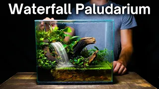 I Made a Paludarium With a Waterfall, Here’s How!