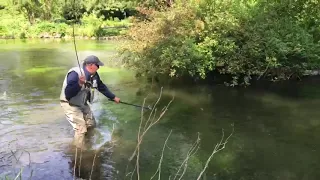 Mayfly Time On River Test (Hampshire, UK)