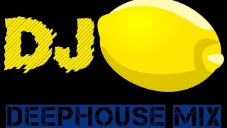 DJ Lemon - Deep House - Vol 5 03.2015
