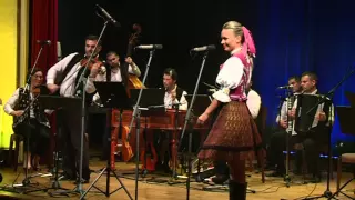 Oj ty kozače - Šarišanci Live