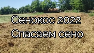 Сенокос 2022. Спасаем сено.