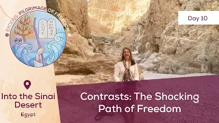 Day 10: Contrasts: The Shocking Path of Freedom📍Sinai Desert |Exodus:Pilgrimage of Freedom |Magdala