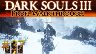 Dark Souls 3 DLC Ashes of Ariandel Profi Walkthrough | Schneefeld & Tiefen des Gemäldes