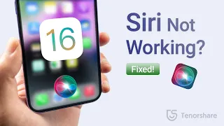 Siri Not Working on iOS 16? iOS 16 Won't Mute Siri Spoken Responses? Fixes & Explanations Here!