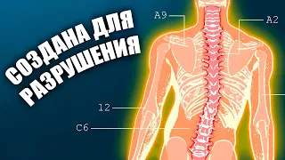 Почему человеческая спина так неидеальна?