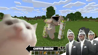 Coffin Meme but Cat is Vibing - Minecraft