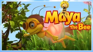 Maya the bee - Episode 60 - Willy loses his memory