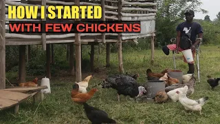 HUMBLE STARTING WITH FEW CHICKENS - Leading to many chickens in a limited time.