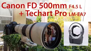 Canon FD 500mm F4.5 L with Techart Pro LM-EA7