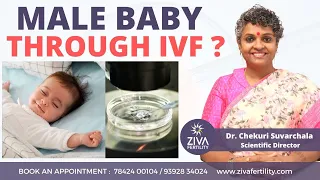 Male Baby Through IVF ? || Chances Of Male Baby With IVF || Dr Chekuri Suvarchala