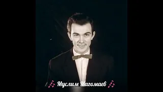 Магомаев - Почему (Пеннино)