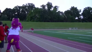 Mascots Race at Continental Cup – and one gets knocked down