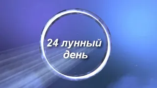 24 лунные сутки