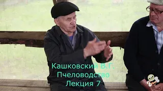 Кашковский В.Г. пчеловодство лекция 7