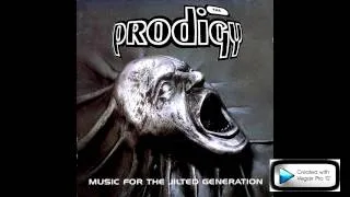 Tribute to The Prodigy 2 (Music for the Jilted Generation sampled)