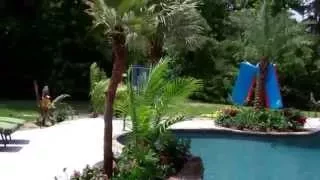 Palm Trees Pool Landscape Lake Conroe, Texas Montgomery