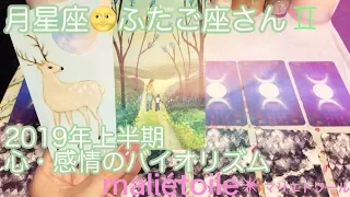 月星座🌕✴︎ふたご座さん✴︎2019年上半期✴︎心・感情のバイオリズムリーディング🌕