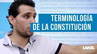 Términos Constitucionales para nuevos opositores