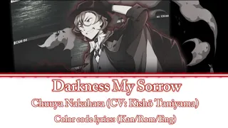 Darkness My Sorrow Color code lyrics (Kan/Rom/Eng)