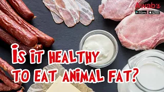 Is it healthy to eat animal fat?