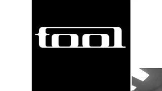 Tool - Vicarious segment (isolated vocals)