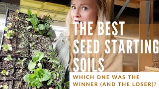 We tested popular seed starting soils: you'll be surprised to learn which one did best!