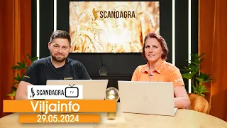 Scandagra VILJAINFO 29.05.2024