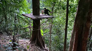 Solo Bushcraft: 7 Days Build a house on dry trees. Bushcaft technique in the forest - Part.1